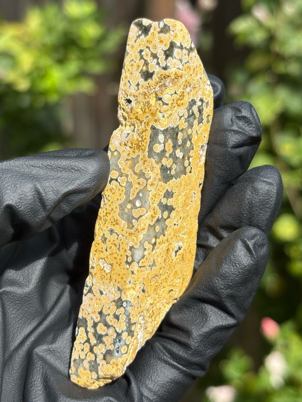 Ocean Jasper Crystal Freeform with Druzy - Polished Sea Jasper